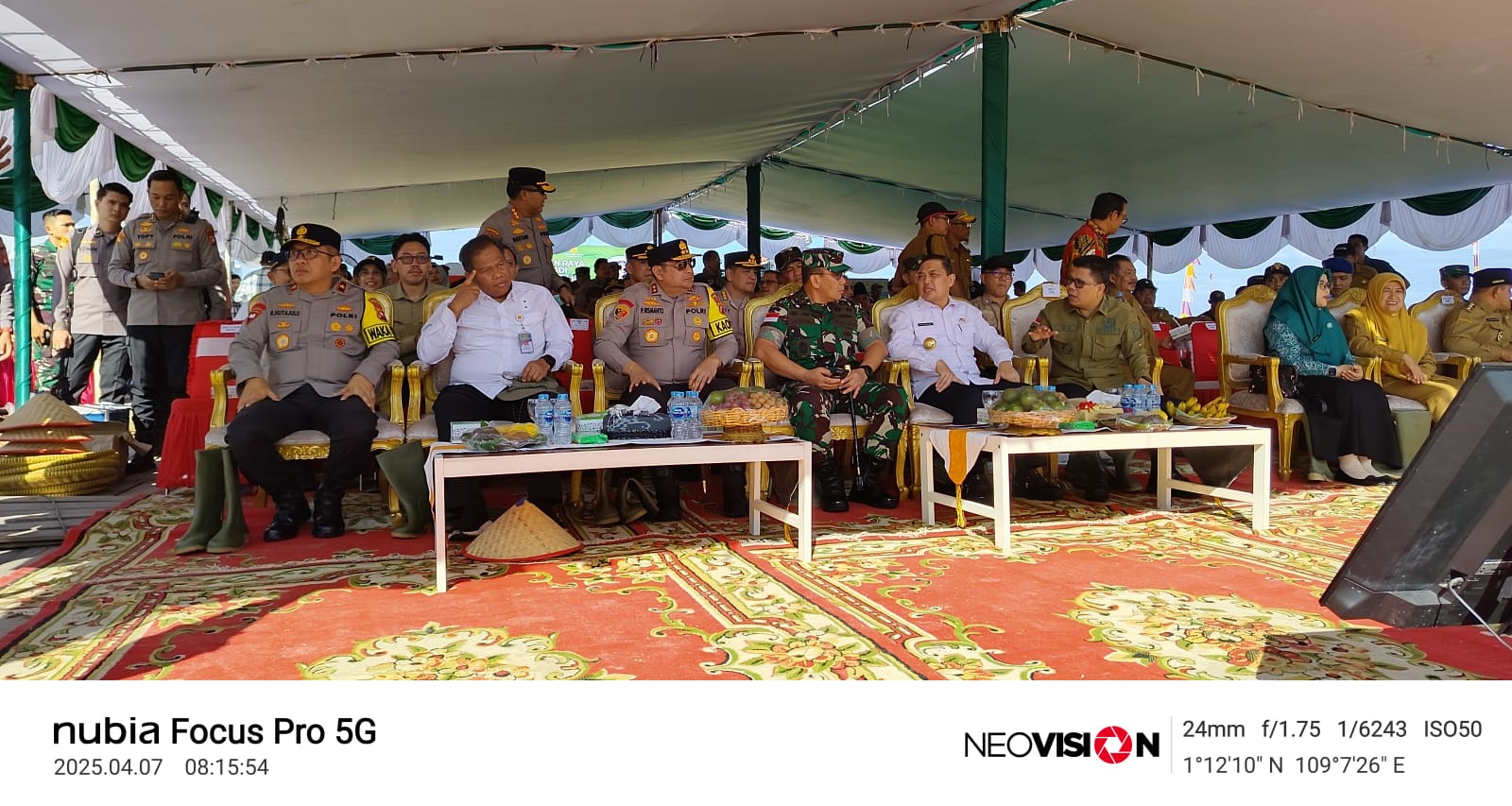 panen raya padi serentak