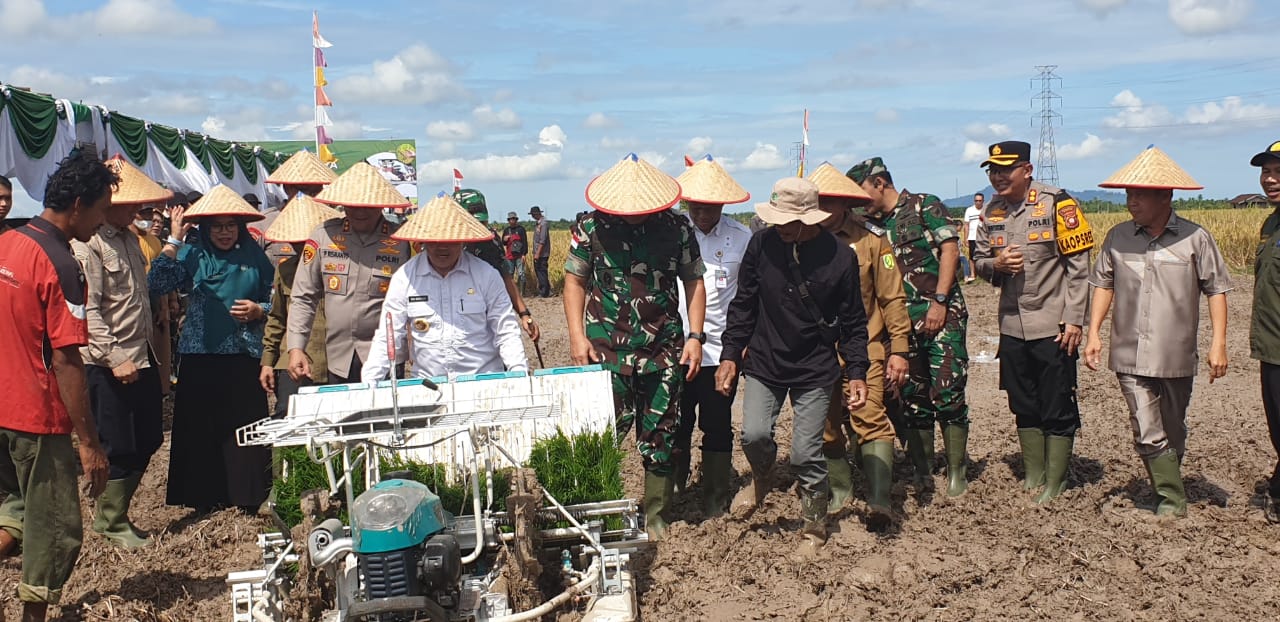 Gubernur Kalbar hadiri panen raya padi di sambas