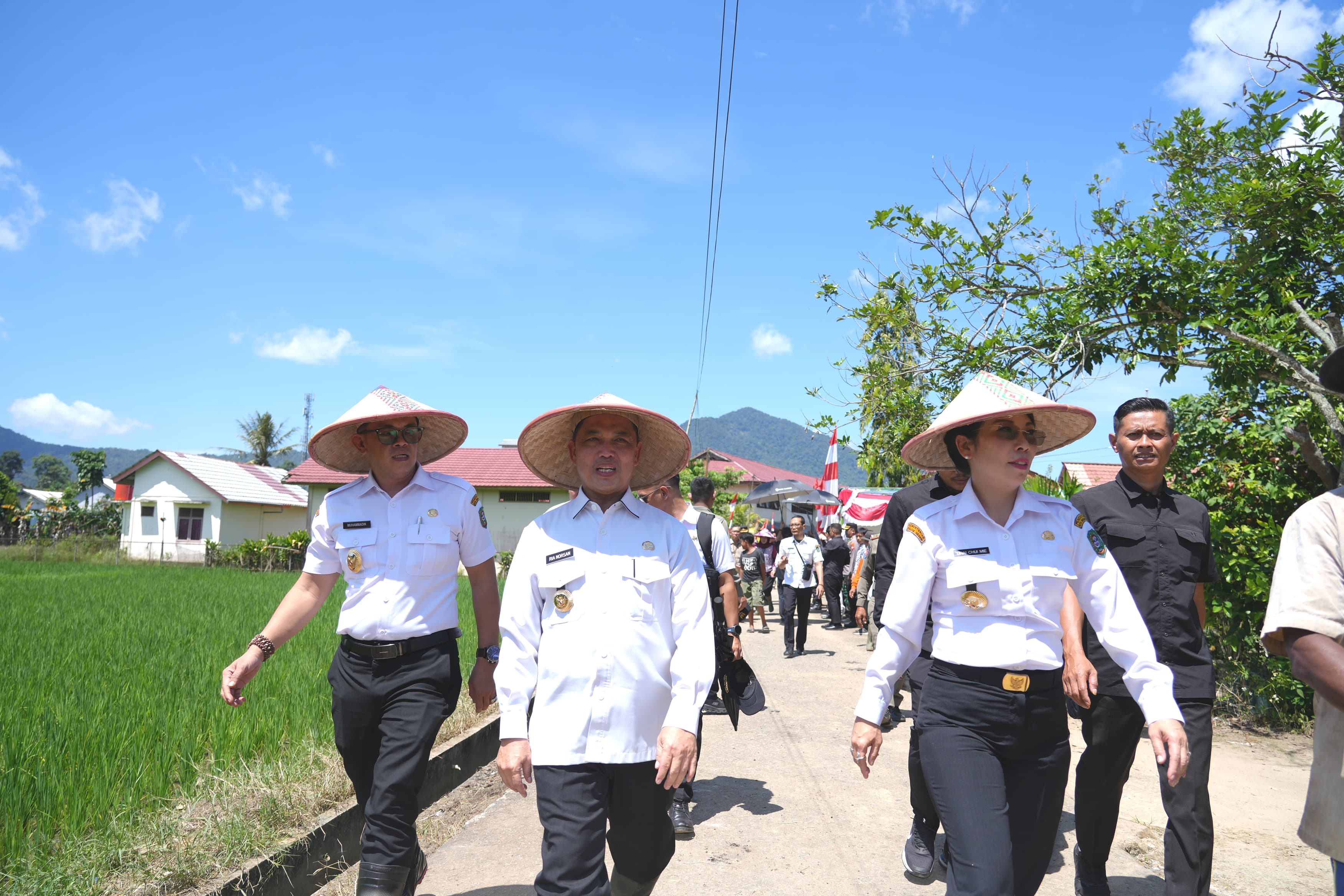 tanam padi serentak